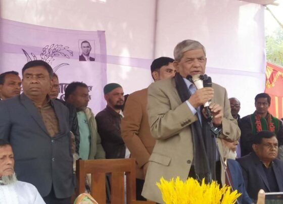 জনগণের জন্য উন্নয়নের পরিকল্পনা- মির্জা ফখরুল