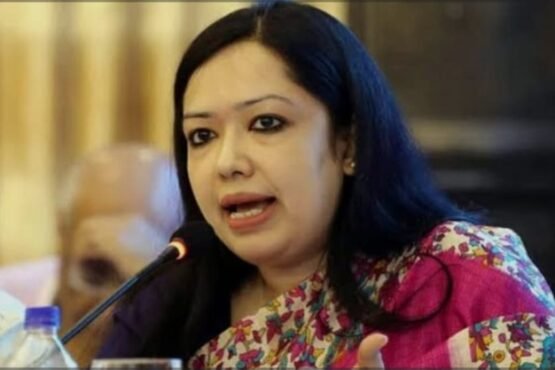 ব্রাহ্মণবাড়িয়ায় বিএনপি ও যুবদল নেতার বিরুদ্ধে রুমিন ফারহানার অভিযোগ