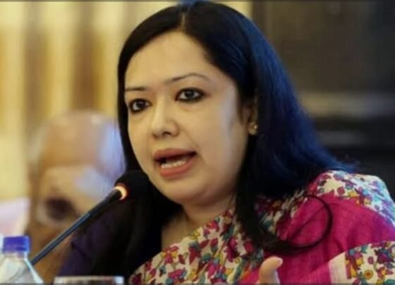 ব্রাহ্মণবাড়িয়ায় বিএনপি ও যুবদল নেতার বিরুদ্ধে রুমিন ফারহানার অভিযোগ