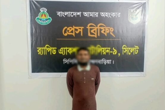 নাসিরনগরে ফেরিওয়ালা হত্যা: প্রধান আসামি মির্জালী গ্রেপ্তার