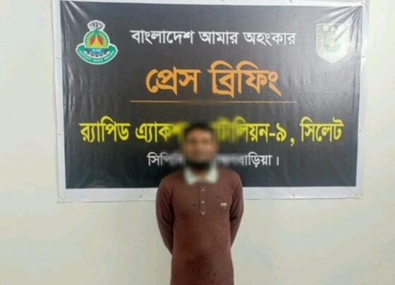 নাসিরনগরে ফেরিওয়ালা হত্যা: প্রধান আসামি মির্জালী গ্রেপ্তার