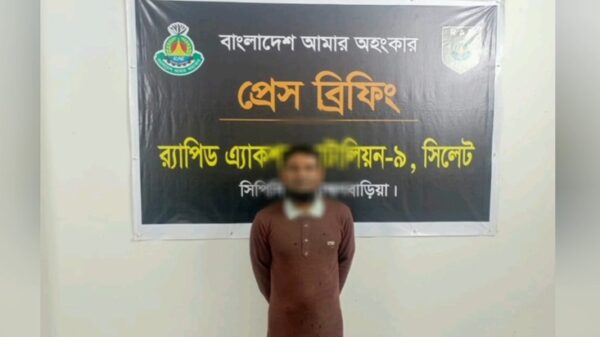 নাসিরনগরে ফেরিওয়ালা হত্যা: প্রধান আসামি মির্জালী গ্রেপ্তার