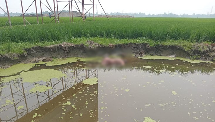 ব্রাহ্মণবাড়িয়ার বিজয়নগরে ডোবা থেকে অজ্ঞাত ব্যক্তির মরদেহ উদ্ধার
