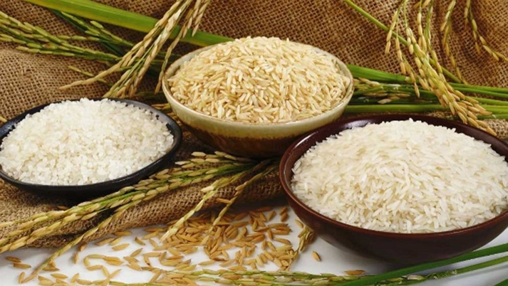 বোরো মৌসুমে ধান-চালের সরকারি দাম নির্ধারণ