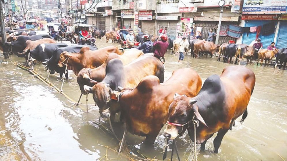 টানা বৃষ্টিতে রাজধানীতে দুর্ভোগ, ঈদযাত্রী ও পশুর হাটে বেড়েছে ভোগান্তি