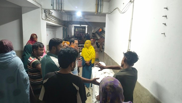 মেহেরপুরে ভাইয়ের হাতে ভাই খুন