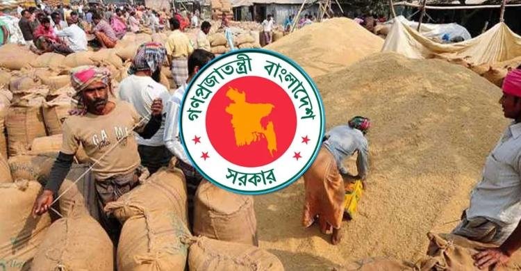 হাওরাঞ্চলের জন্য বিশেষ উদ্যোগ: ধান-চাল সংগ্রহ শুরু ৩ মে