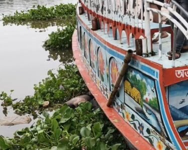 ব্রাহ্মণবাড়িয়ায় অজ্ঞাত এক যুবকের মরদেহ উদ্ধার করেছে পুলিশ। আজ সোমবার দুপুরে শহরের আনন্দবাজার কারখানাঘাট এলাকা থেকে অর্ধগলিত অবস্থায় মরদেহটি উদ্ধার করা হয়। তার বয়স আনুমানিক ২২ বছর। তবে প্রাথমিক অবস্থায় উদ্ধারকৃত মরদেহটির নাম পরিচয় জানাতে পারেনি পুলিশ।