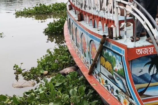 ব্রাহ্মণবাড়িয়ায় অজ্ঞাত এক যুবকের মরদেহ উদ্ধার করেছে পুলিশ। আজ সোমবার দুপুরে শহরের আনন্দবাজার কারখানাঘাট এলাকা থেকে অর্ধগলিত অবস্থায় মরদেহটি উদ্ধার করা হয়। তার বয়স আনুমানিক ২২ বছর। তবে প্রাথমিক অবস্থায় উদ্ধারকৃত মরদেহটির নাম পরিচয় জানাতে পারেনি পুলিশ।