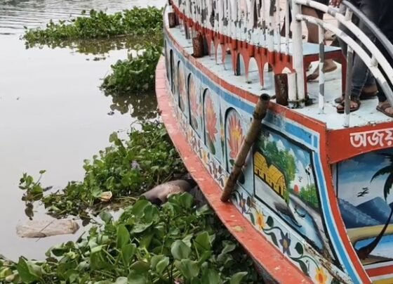 ব্রাহ্মণবাড়িয়ায় অজ্ঞাত এক যুবকের মরদেহ উদ্ধার করেছে পুলিশ। আজ সোমবার দুপুরে শহরের আনন্দবাজার কারখানাঘাট এলাকা থেকে অর্ধগলিত অবস্থায় মরদেহটি উদ্ধার করা হয়। তার বয়স আনুমানিক ২২ বছর। তবে প্রাথমিক অবস্থায় উদ্ধারকৃত মরদেহটির নাম পরিচয় জানাতে পারেনি পুলিশ।