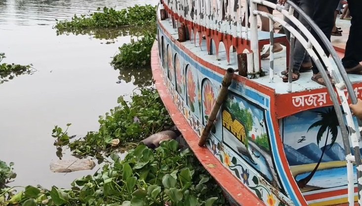 ব্রাহ্মণবাড়িয়ায় অজ্ঞাত যুবকের অর্ধগলিত মরদেহ উদ্ধার